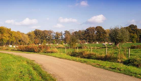 Aandachtstrekker Noord-Brabant
